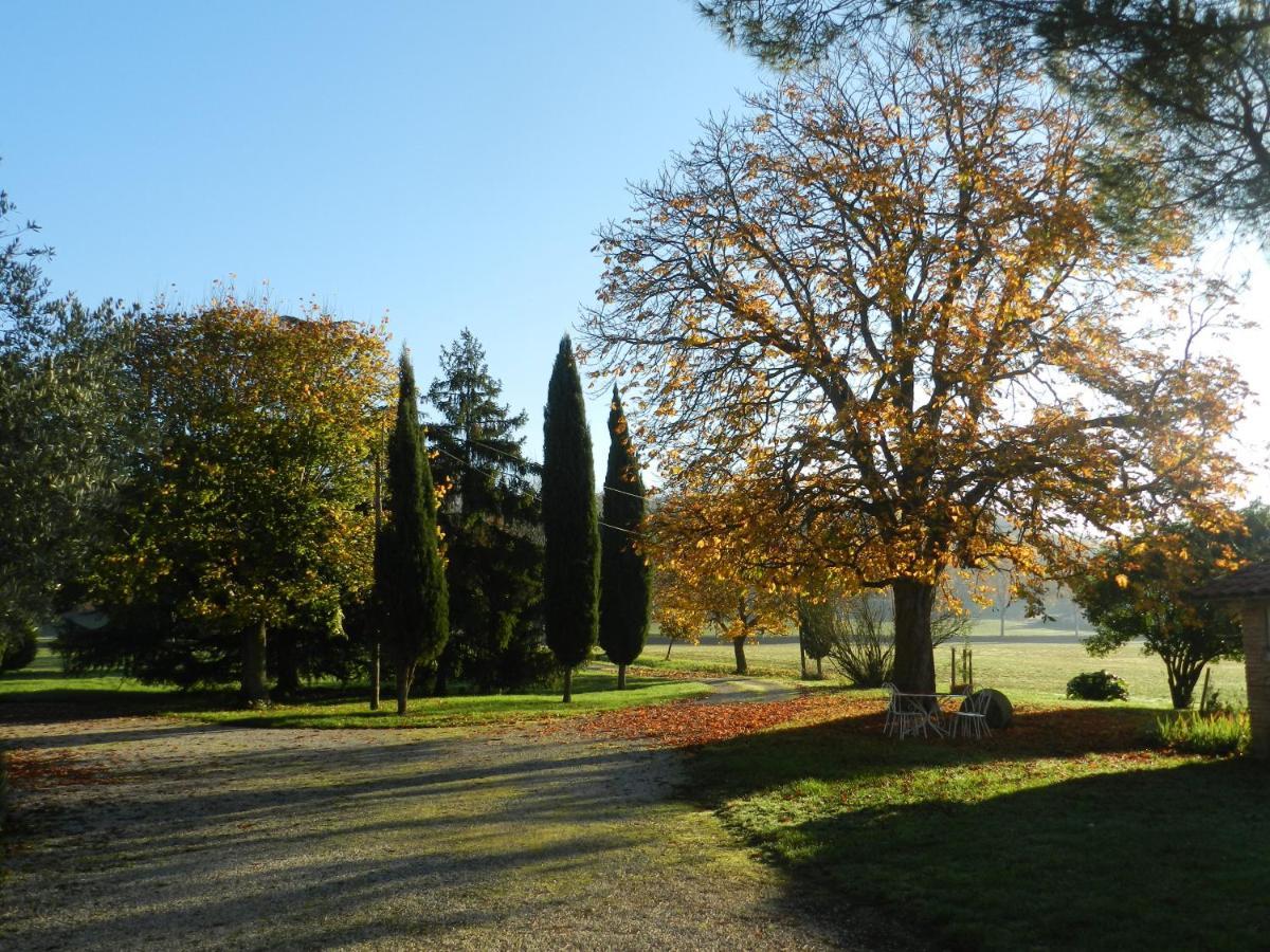 La Ferme Montplaisir Hotel Montesquieu-Volvestre Buitenkant foto